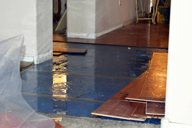 Professional Water Damage Restoration technician working in Martin, OH